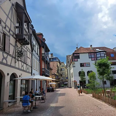 Chez Agnes - Charme Alsacien En Plein Coeur De Colmar, Avec Parking Prive Colmar