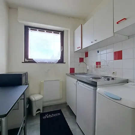 Chez Agnes - Charme Alsacien En Plein Coeur De Colmar, Avec Parking Prive Apartment