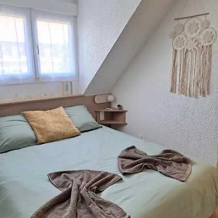 アパート Chez Agnes - Charme Alsacien Au Coeur De Colmar, Avec Parking Prive *