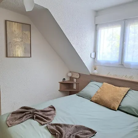 Chez Agnes - Charme Alsacien Au Coeur De Colmar, Avec Parking Prive アパート コルマール