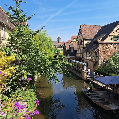 Chez Agnes - Charme Alsacien Au Coeur De Colmar, Avec Parking Prive * コルマール