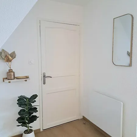 Chez Agnes - Charme Alsacien Au Coeur De Colmar, Avec Parking Prive * コルマール
