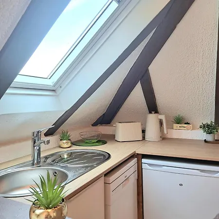 Chez Agnes - Charme Alsacien Au Coeur De Colmar, Avec Parking Prive アパート *