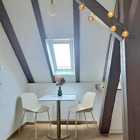 アパート Chez Agnes - Charme Alsacien Au Coeur De Colmar, Avec Parking Prive コルマール
