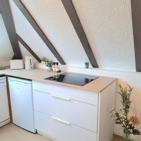 アパート Chez Agnes - Charme Alsacien Au Coeur De Colmar, Avec Parking Prive