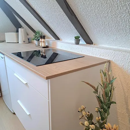 Chez Agnes - Charme Alsacien Au Coeur De Colmar, Avec Parking Prive アパート コルマール