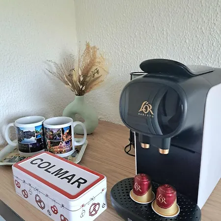 Chez Agnes - Charme Alsacien Au Coeur De Colmar, Avec Parking Prive コルマール