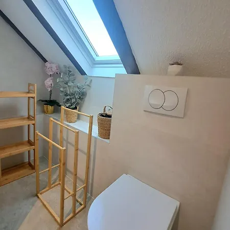 Chez Agnes - Charme Alsacien Au Coeur De Colmar, Avec Parking Prive コルマール